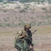 10th SFG(A) Green Berets Enhance Readiness During Apollo Nexus