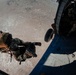 10th SFG(A) Green Berets Enhance Readiness During Apollo Nexus