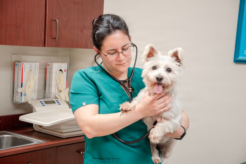 Fort Lee Veterinary Treatment Facility Provides Care for Military Family Pets