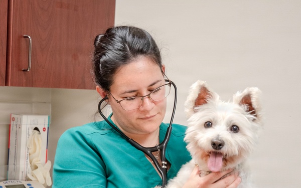 Fort Lee Veterinary Treatment Facility Provides Care for Military Family Pets