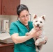 Fort Lee Veterinary Treatment Facility Provides Care for Military Family Pets