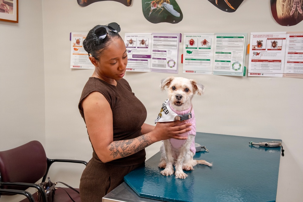 Fort Lee Veterinary Treatment Facility Provides Care for Military Family Pets