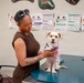 Fort Lee Veterinary Treatment Facility Provides Care for Military Family Pets