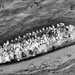 Coast Guard, CBP, partner agencies interdict 240 aliens near Turks and Caicos Islands