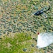 Idaho Army National Guard UH-60M Black Hawk helicopter crew conducts water bucket training.