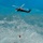 Idaho Army National Guard UH-60M Black Hawk helicopter crew conducts water bucket training.