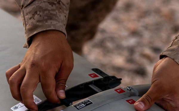 13th MEU BLT 2/4 Conducts a Simulated Sensing Expeditionary Advanced Base Mission
