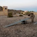 13th MEU BLT 2/4 Conducts a Simulated Sensing Expeditionary Advanced Base Mission