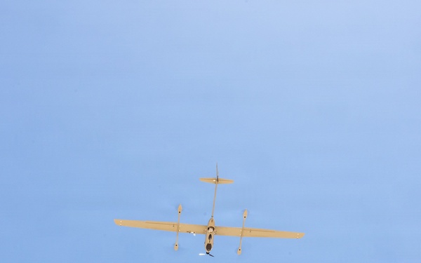 13th MEU BLT 2/4 Conducts a Simulated Sensing Expeditionary Advanced Base Mission
