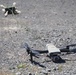 The 10th Mountain Division (LI) Counter Small Unmanned Aerial System Academy