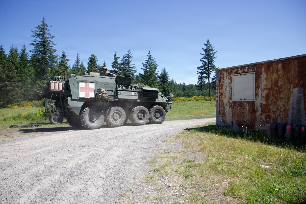 7th Infantry Division (Multi-Domain Command - Pacific) Medical Exercise