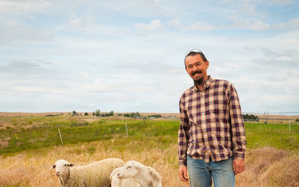 Sheep raised on lands not reachable by irrigation pivot