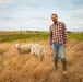 Sheep raised on lands not reachable by irrigation pivot