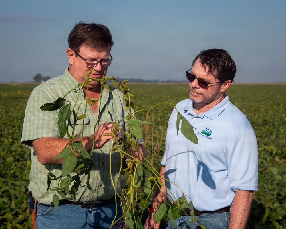 Soybean farmer with RMA employee