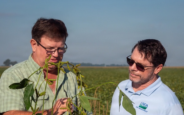 Soybean farmer with RMA employee