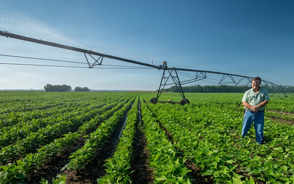 Illinois Farmer in Green Bean Field
