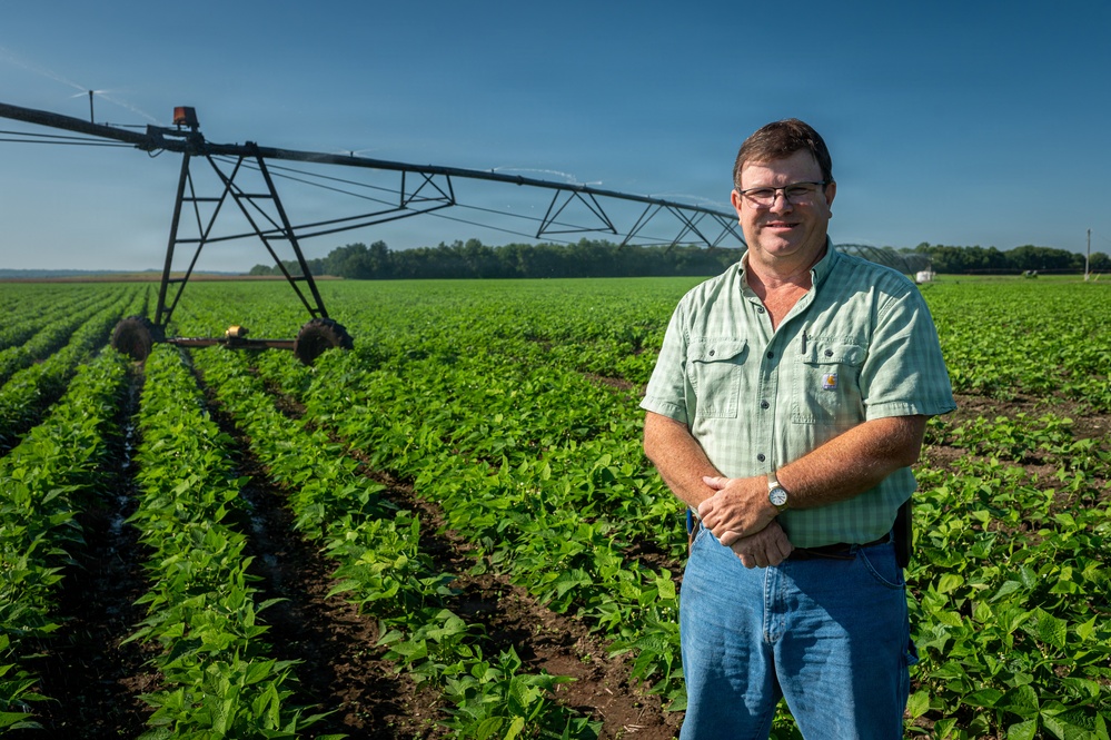 Illinois Farmer in Green Bean Field