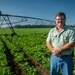 Illinois Farmer in Green Bean Field
