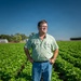 Illinois Farmer in Green Bean Field