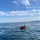 U.S. Navy, ROK Navy complete 2026 ROK-US Combined Mine Warfare Exercise