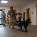 Spangdahlem Air Base conducts active shooter scenario during Threat Enhanced Emergency Readiness Exercise