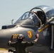 VMA-223 Harrier sundown ceremony