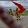 52nd Fighter Wing hones crisis response during Threat Enhanced Emergency Readiness Exercise