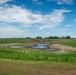 Unhealthy Soybean Field