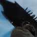 Exercise Raven