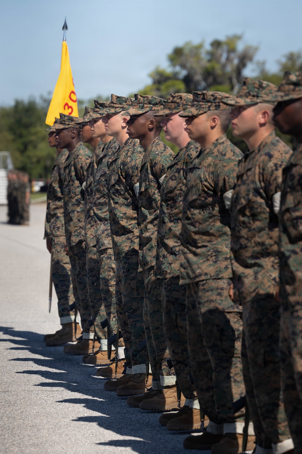 India Company Drill Practice