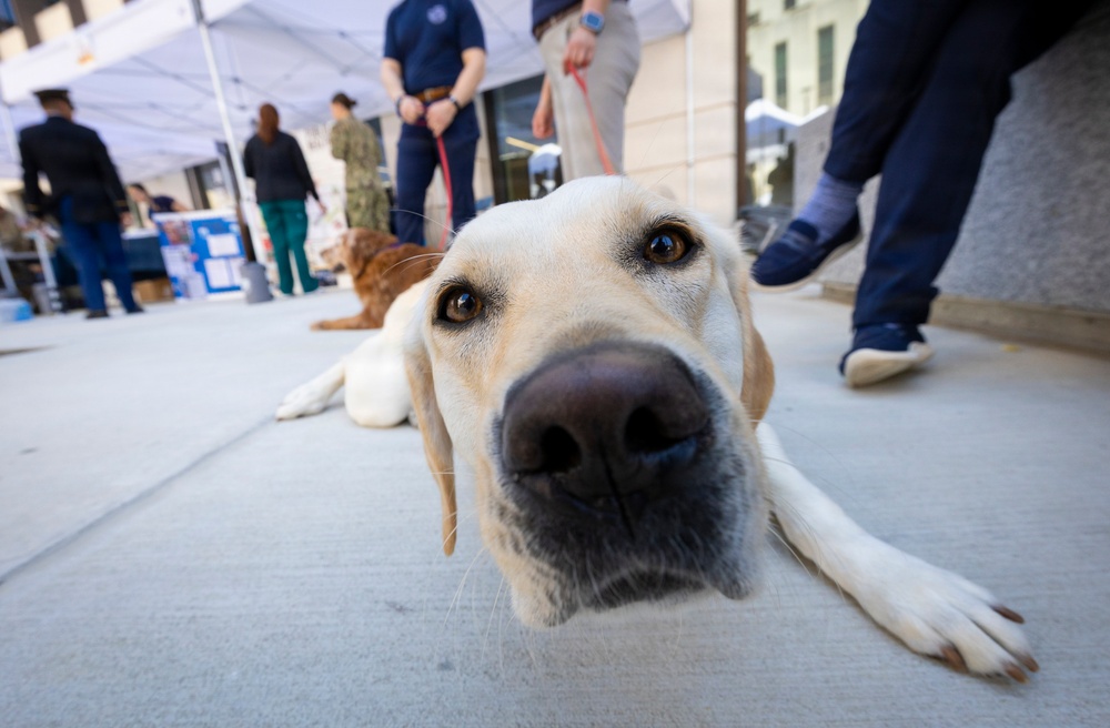 2026 Summer Safety Day at Walter Reed