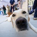 2026 Summer Safety Day at Walter Reed