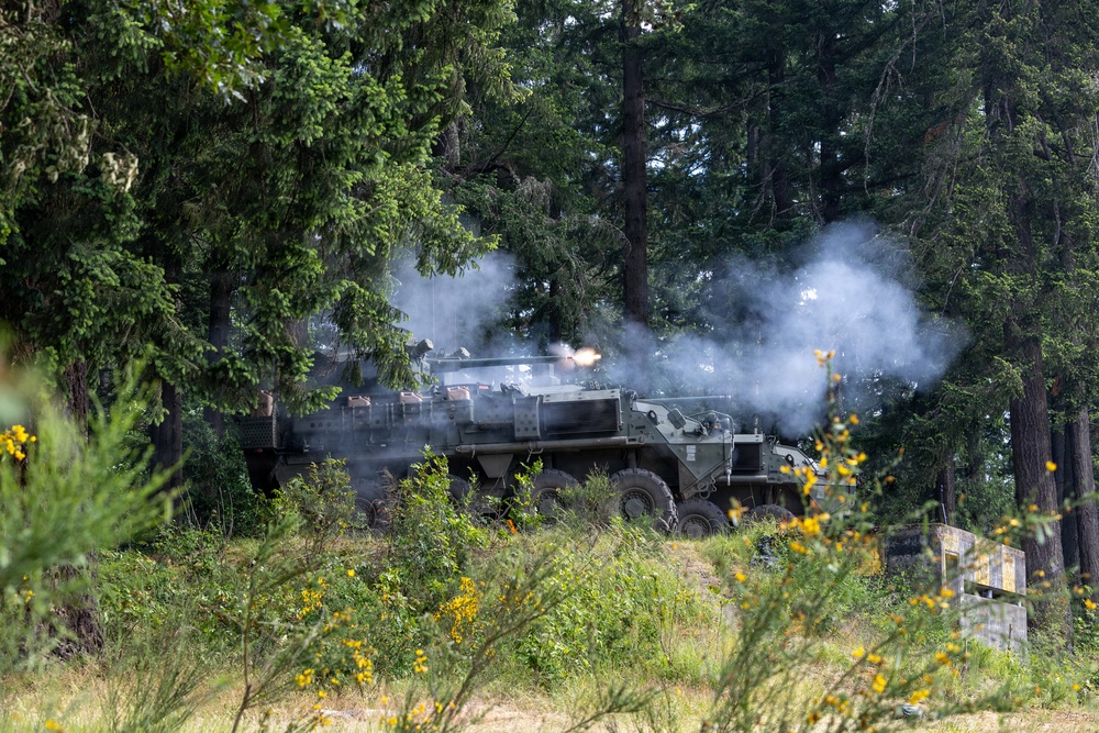 1st Battalion, 23rd Infantry Regiment Live Fire Exercise
