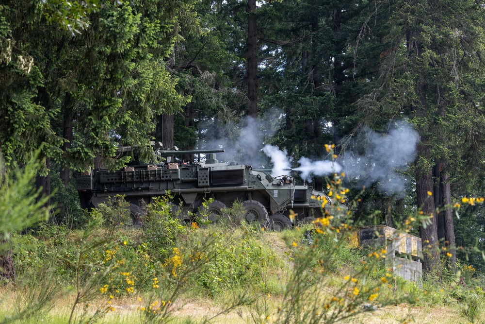 1st Battalion, 23rd Infantry Regiment Live Fire Exercise