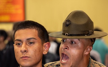 Alpha Company Receiving