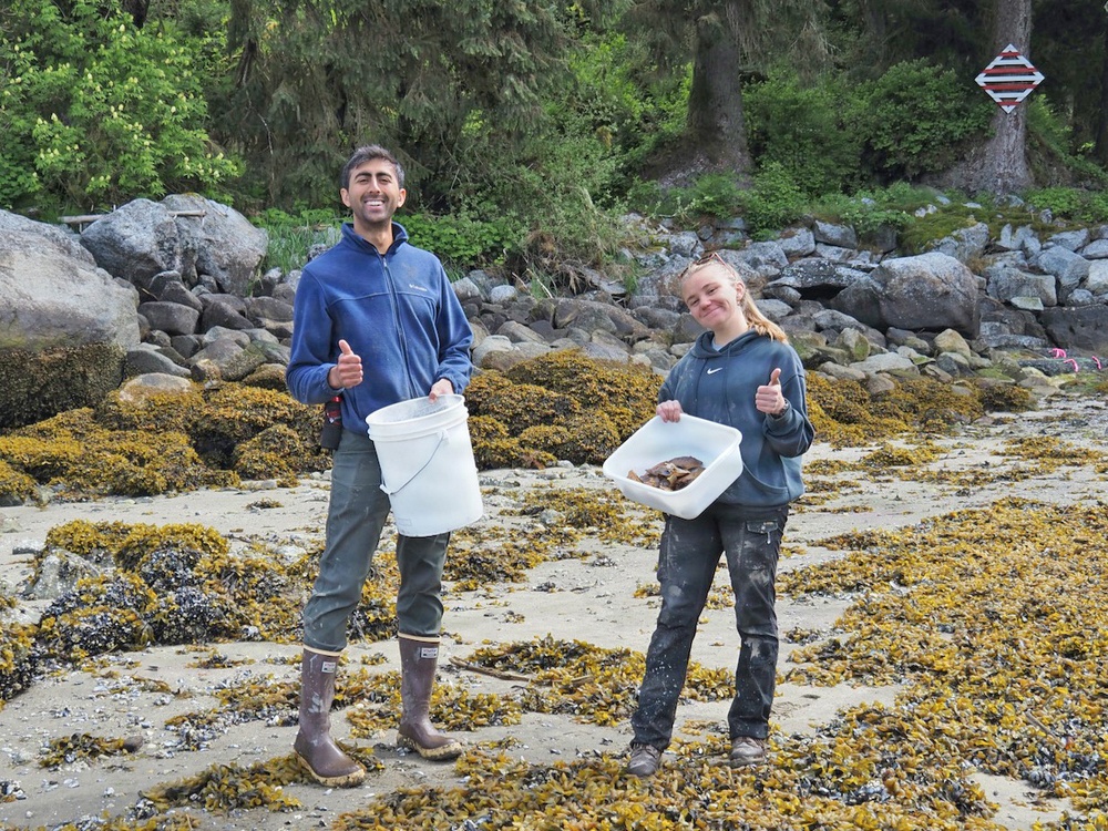 Anan Wildlife Observatory European Green Crab Survey