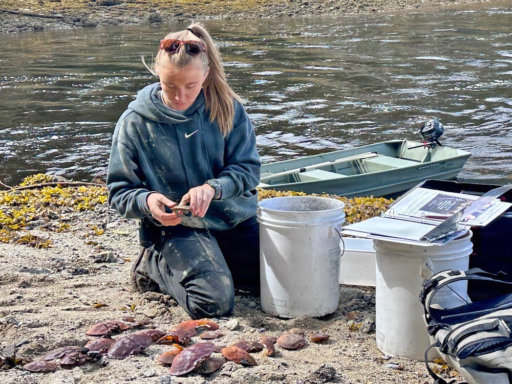 Anan Wildlife Observatory European Green Crab Survey