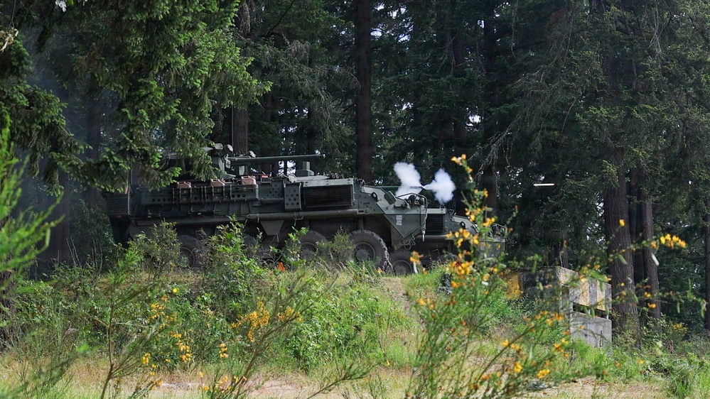 1st Battalion, 23rd Infantry Regiment Live Fire Exercise