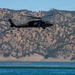 Travis Airmen complete water survival training at Lake Berryessa