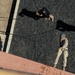 JTF-SB Marines, U.S. Border Patrol sustain rappel tower training