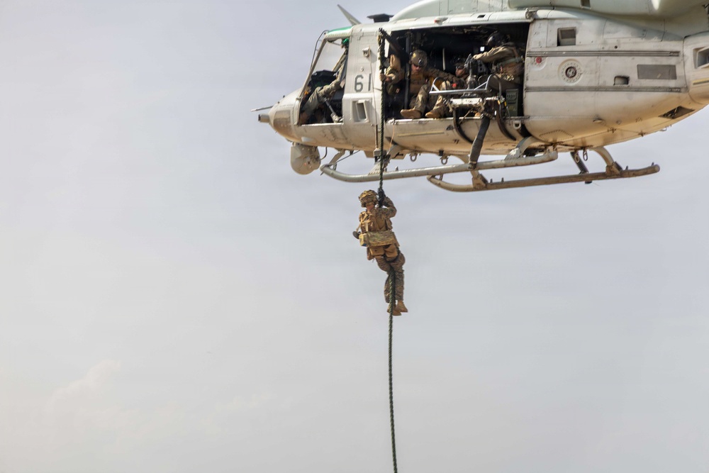 LCF-24: Fast-roping Drills