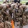 602d ASB Conducts Warhorse Challenge