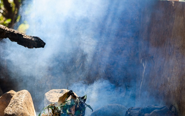 3rd Littoral Combat Team sustains jungle survival training in the Philippines