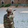 KFOR RC-E Soldiers sharpen marksmanship skills during weapons qualification