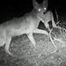 University teams trace Corps of Discovery route, gather photographic wildlife data at Fort Leavenworth