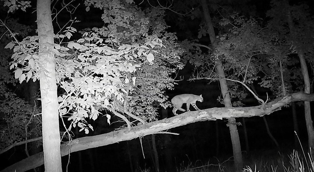 University teams trace Corps of Discovery route, gather photographic wildlife data at Fort Leavenworth