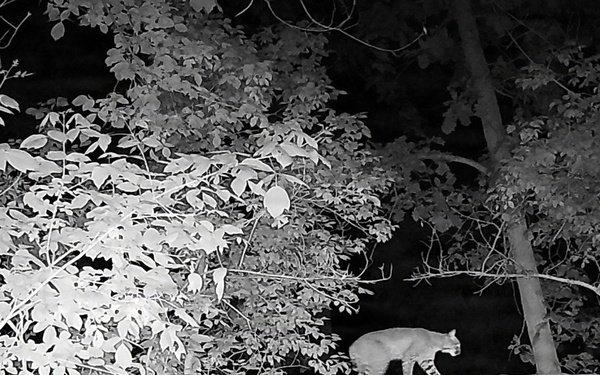 University teams trace Corps of Discovery route, gather photographic wildlife data at Fort Leavenworth