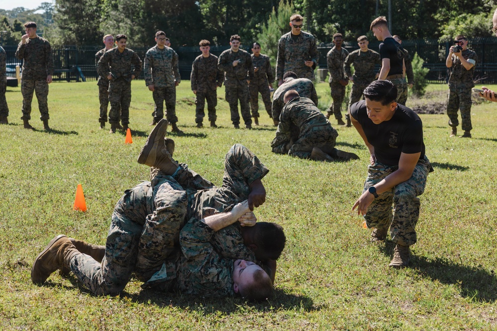 2nd Network Battalion Celebrates 5th Birthday