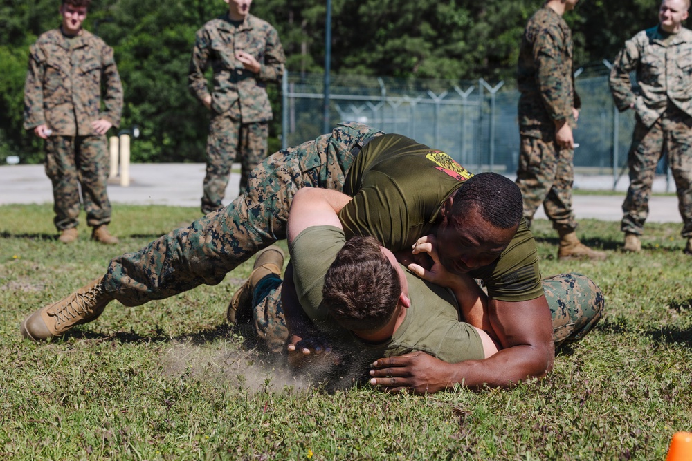 2nd Network Battalion Celebrates 5th Birthday