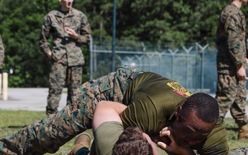 2nd Network Battalion Celebrates 5th Birthday